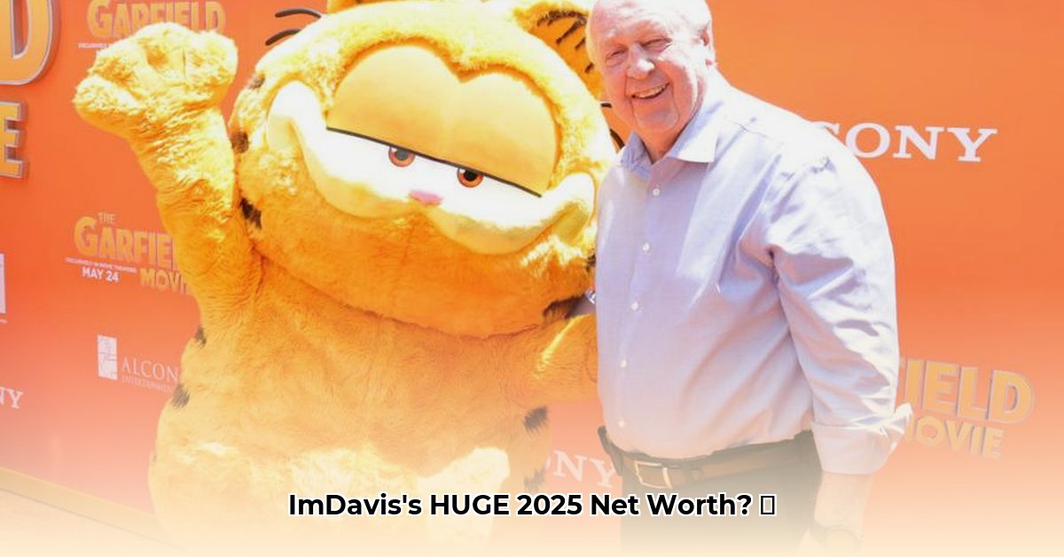 im-davis-net-worth